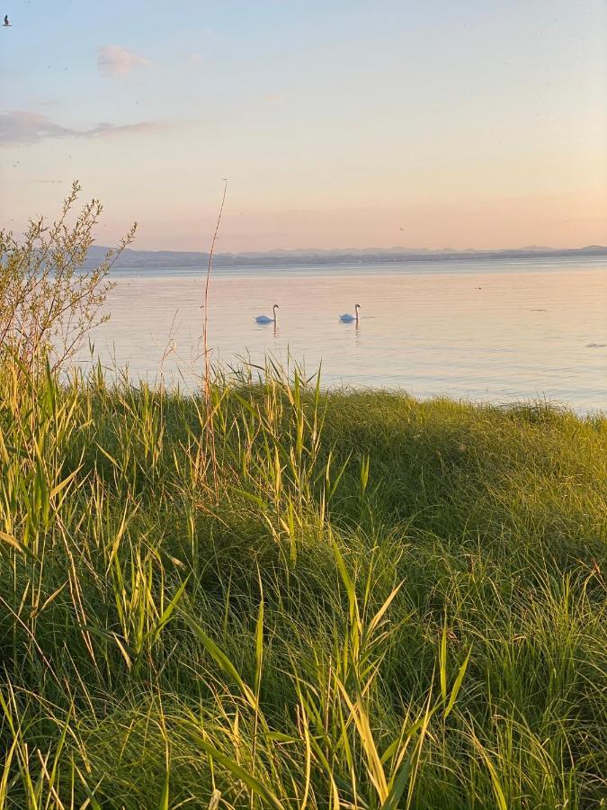 Ferien-Apartment Eisvogel Im Naturschutzgebiet Mit Privatstrand Фридрихсхафен Экстерьер фото