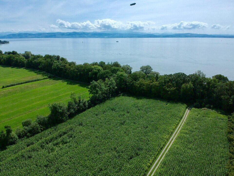 Ferien-Apartment Eisvogel Im Naturschutzgebiet Mit Privatstrand Фридрихсхафен Экстерьер фото